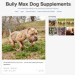 New York City Photo Walk