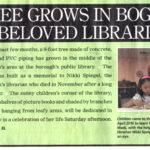 New York City Photo Walk